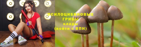 кокс Каменка