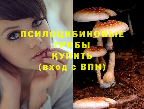 мяу мяу кристалл Каменск-Шахтинский