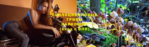 прущие крисы Каменногорск
