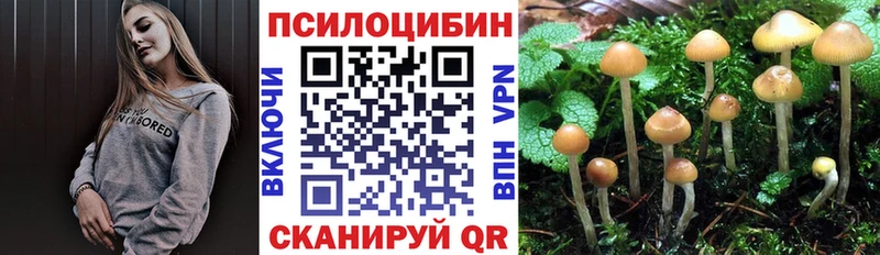 Купить  Зеленокумск  Псилоцибиновые грибы мицелий 